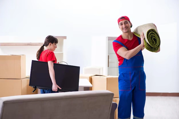 snag-packers-movers