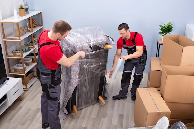 snag-packers-movers