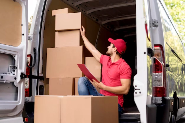 snag-packers-movers