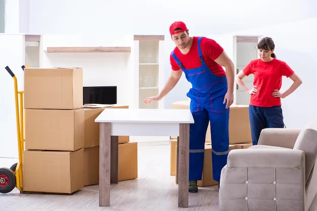 snag-packers-movers