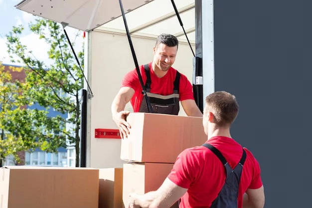 snag-packers-movers