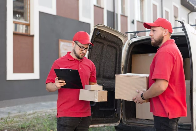 snag-packers-movers